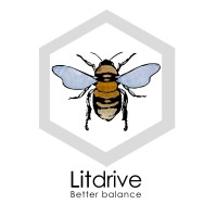LitdriveUK logo - Similar company to York Notes