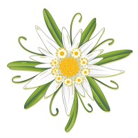 Edelweiss Agri Inc. logo - Similar company to Supreme Tex Mart Ltd