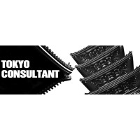 Tokyo Consultant logo - Similar company to Tokyo Consulting Firm Pvt. Ltd