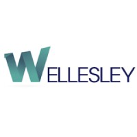 Wellesley Partners SL logo - Similar company to Golddén Consulting Group