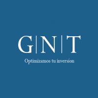 GNT Consulting logo - Similar company to Econexec
