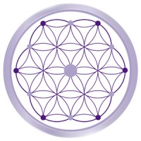 Creando Nuevas Vidas logo - Similar company to Mexas