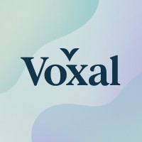Voxal logo - Similar company to Gameon World
