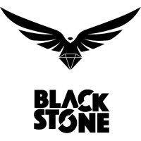 Blackstone Style logo - Similar company to Aqua Design