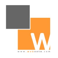 WebXeto logo - Similar company to Code Neptune