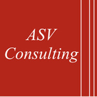 ASV Consulting - Human Management ASV 3000 SL logo - Similar company to Caja Duero