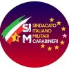 SIM CARABINIERI logo - Similar company to Avi Onlus