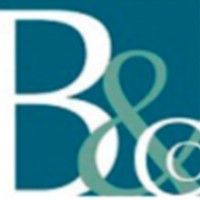 BRONDER & COMPANY, PC logo - Similar company to Phb, Inc.