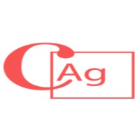 Charleston Architectural Glass logo - Similar company to Craftec Architectural Glass