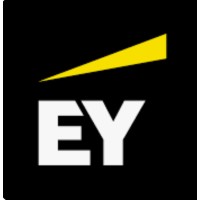 EY Caribbean Professional Services logo - Similar company to Libra Information Technologies