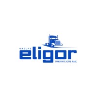 GROUPE ELIGOR SAS logo - Similar company to Majorette Creative