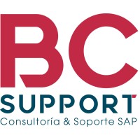 BC SUPPORT S.A.S. logo - Similar company to Tcm Technology, Consulting & Management