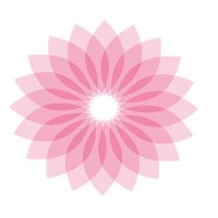SOLARIS logo - Similar company to Level Up Emea