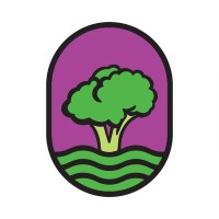 Broccoli logo - Similar company to Mcnutraceuticals