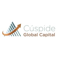 Cuspide Global Capital logo - Similar company to Anife