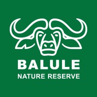 Balule Nature Reserve logo - Similar company to Good Night Out Campaign
