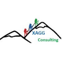 XAGG Consulting logo - Similar company to Layerscale Advisory