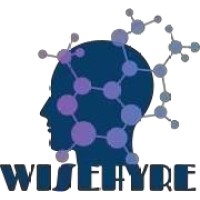 Wisehyre Pvt Ltd logo - Similar company to Snappyhires