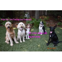 Doubletree Pet Resort