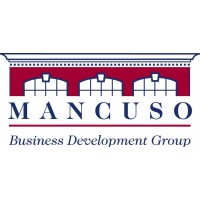 Mancuso Business Development Group logo - Similar company to Vita Nuova Llc