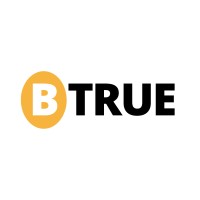 BTRUE MEDIA logo - Similar company to Cybeze