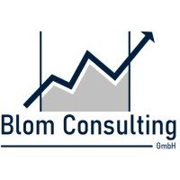 Blom Consulting GmbH logo - Similar company to Blohm Consulting Gmbh