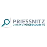 Priessnitz Unternehmensberatung KG logo - Similar company to Objentis Software Integration Gmbh