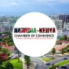Namibia-Kenya Chamber of Commerce (NKCC) logo - Similar company to I Want To Build