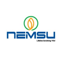 NEMSU Holdings logo - Similar company to Cap Snap Lanka Private Limited