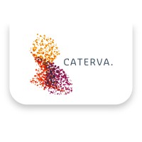 Caterva. logo - Similar company to Rc Tech