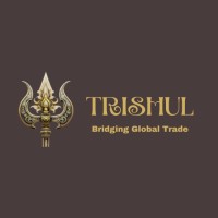 Trishul LLP logo - Similar company to Mavix International Llp