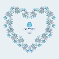 O'lysée Cameroon logo - Similar company to Karoo Group