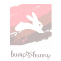 Bump to Bunny logo - Similar company to Arca