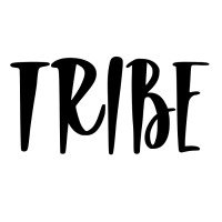 Tribe Collective logo - Similar company to Startup System