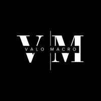 Valo Macro logo - Similar company to Ispolin Capital Llc