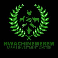 Nwachinemerem Farms Investment Limited logo - Similar company to Typetheta.Com