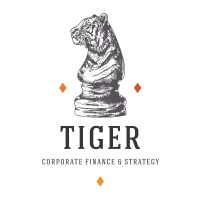 Tiger Corporate Finance & Strategy logo - Similar company to Venturecapital.Nl / Privateequity.Nl