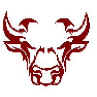 Bull's Eye Outsourcing Services Pvt. Ltd. logo - Similar company to Asdintech Services Pvt Ltd
