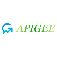 Apigee Digital Solutions logo - Similar company to Apigee Technologies (India) Pvt Ltd