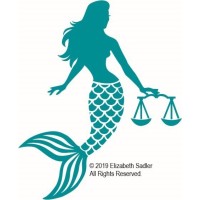 Law Office of Elizabeth M. Sadler, LLC logo - Similar company to Washington Area Lawyers For The Arts (Wala)