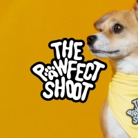 The Pawfect Shoot - Creative photography for pets and pet-friendly brands. logo - Similar company to Percept Research Group