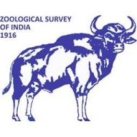 Palaeozoology Division, Zoological Survey of India logo - Similar company to Harshit Jain