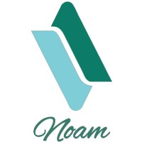 Noam Management Consulting Pvt. Ltd. logo - Similar company to Zoukloans
