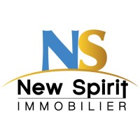 New Spirit Immobilier logo - Similar company to Y Consulting