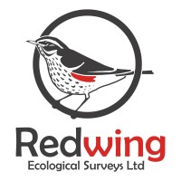 Redwing Ecological Surveys logo - Similar company to Different Duck