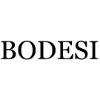 Bodesi logo - Similar company to Degdri̇ve
