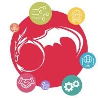 Dracco Soluções em Tecnologia e Marketing Digital logo - Similar company to Estúdio Torto