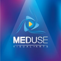 Meduse Visual Arts logo - Similar company to Smart2Do Technologies