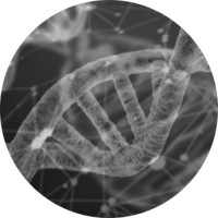 Drishti Discoveries logo - Similar company to Carocell Bio