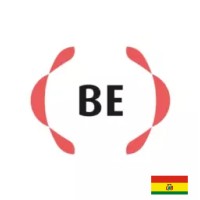 Bolivia Brand Embassy 2 logo - Similar company to Dayholi